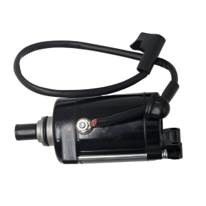 Motor de Partida HAYPO Loncin RE-250 (9 Puntas)